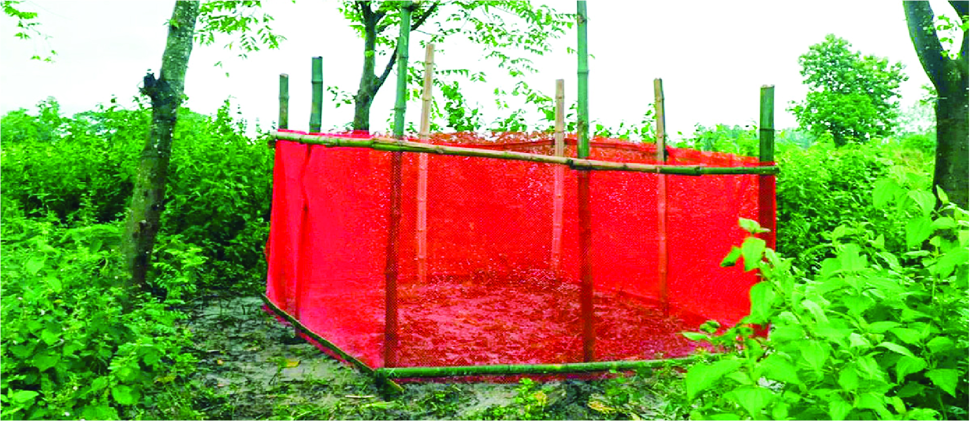 Image of নাহিদুল ইসলাম